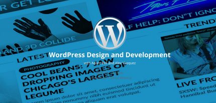 wordpress plugin basics