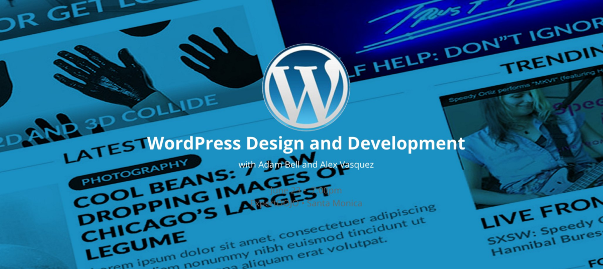 wordpress plugin basics