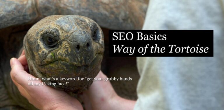 [Series] SEO for Beginners | Way of the Tortoise