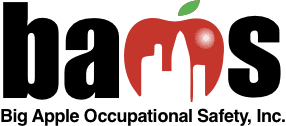 Big apple occupational systems logo